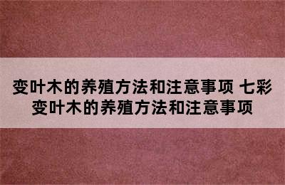 变叶木的养殖方法和注意事项 七彩变叶木的养殖方法和注意事项